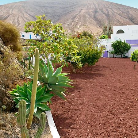 Villa Tranquila Орсола Екстериор снимка